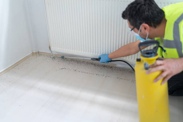 Best Wasp Removal Services  in Fairless Hills, PA
