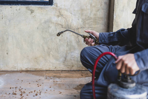 Best Pest Control Treatment  in Fairless Hills, PA